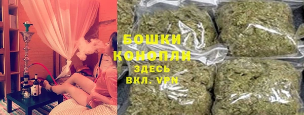 шишки Бронницы
