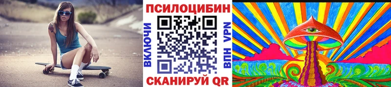 цены   Москва  Псилоцибиновые грибы MAGIC MUSHROOMS 