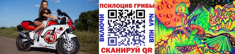 Псилоцибиновые грибы Psilocybe Москва